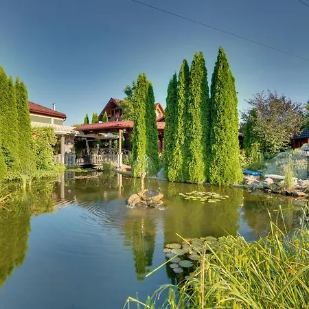 David With Free Parking Hotel 3*