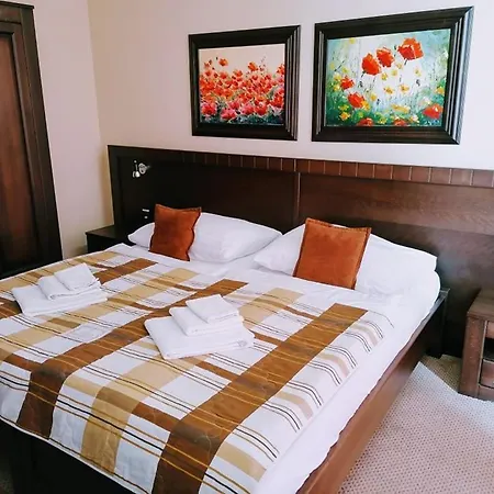 David With Free Parking Otel 3*