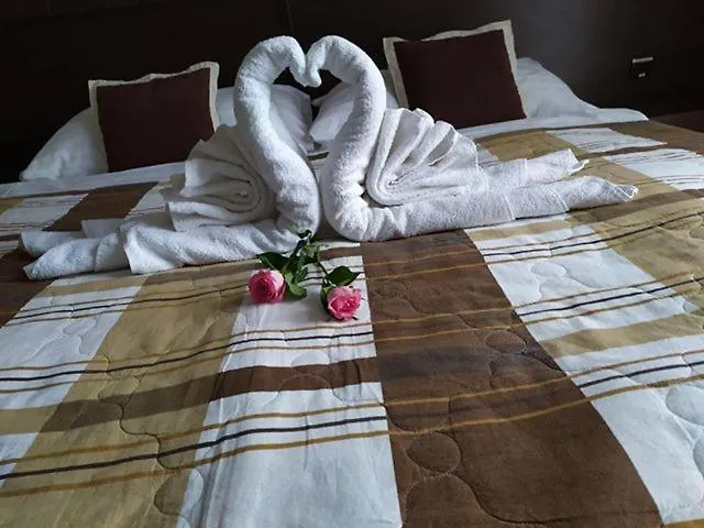 David With Free Parking Otel 3*