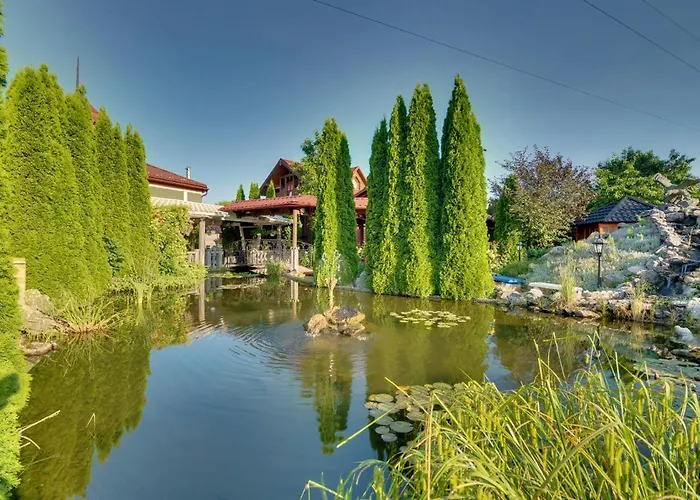 David With Free Parking Hotel 3*