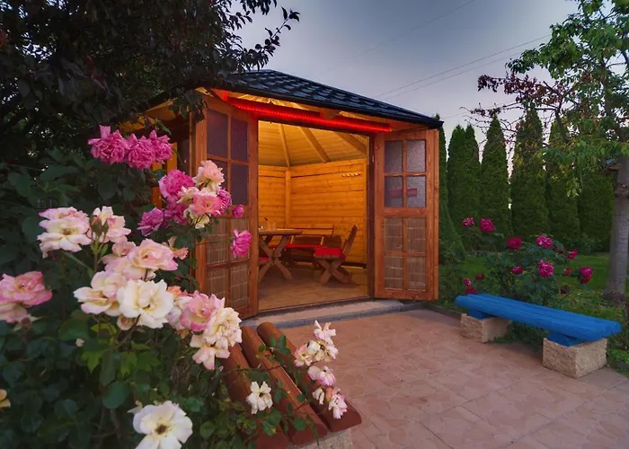 David With Free Parking Hotel